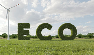 Zero Carbon Low Consumption